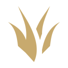 League of Legends lane: Jungle